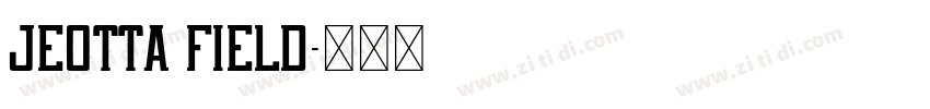 Jeotta Field字体转换